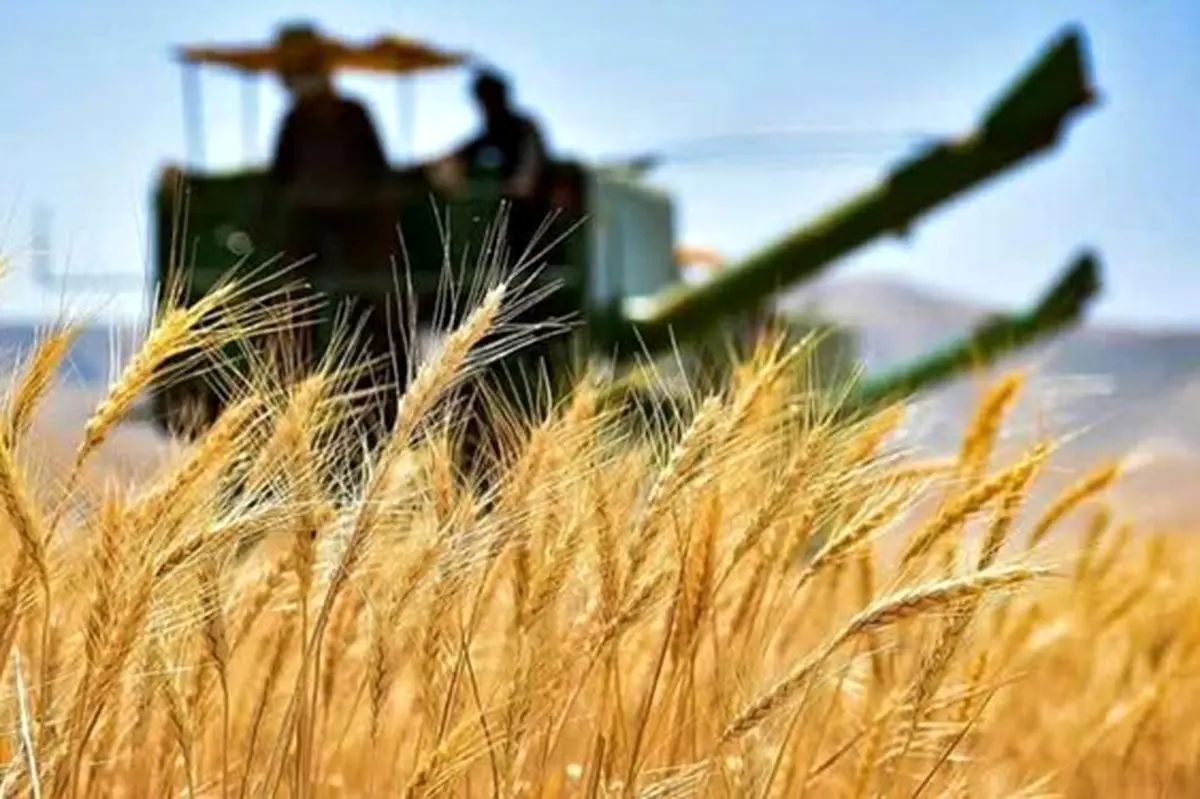 کشاورزی